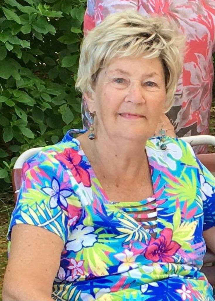 Paula Ann (Stephens) Hammer