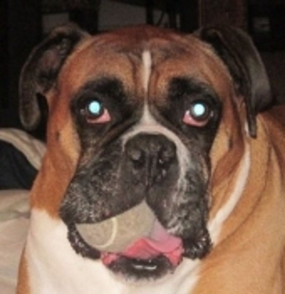 Frank Kevin Grevel Profile Photo