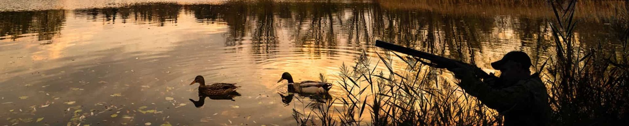 Cover for Wesley "Damon" Rainwater's Obituary