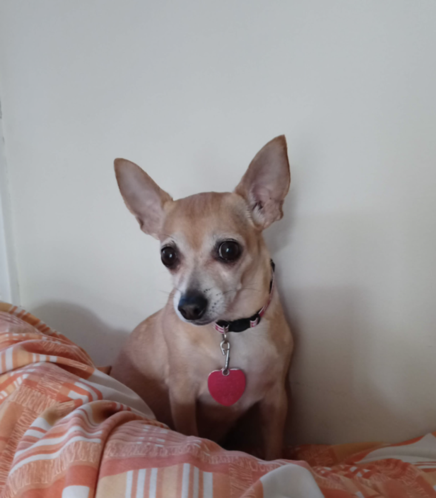 Prissy Cash Profile Photo