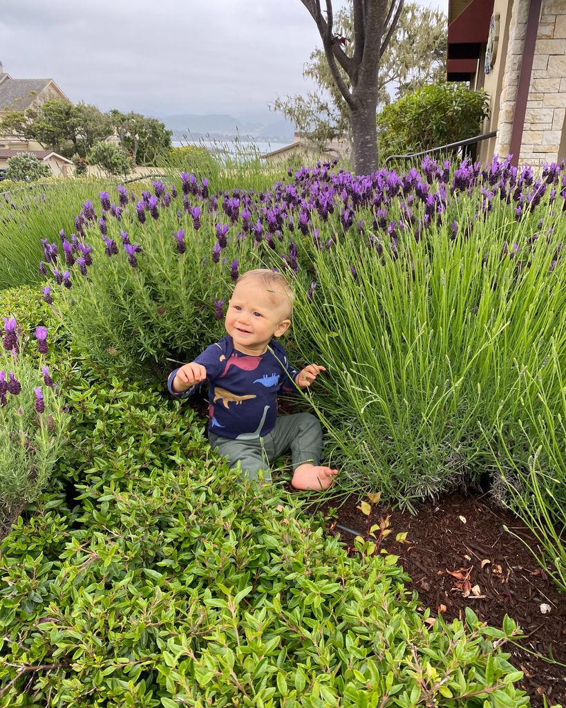 Maverick Davey Sheppard