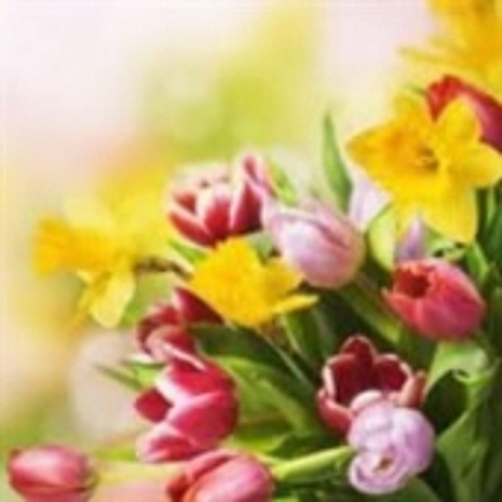 Aurelia Laverne Hawkins