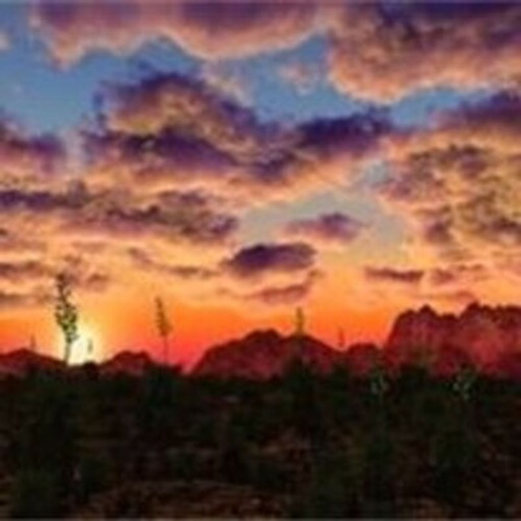 Frances Kumpa Valente