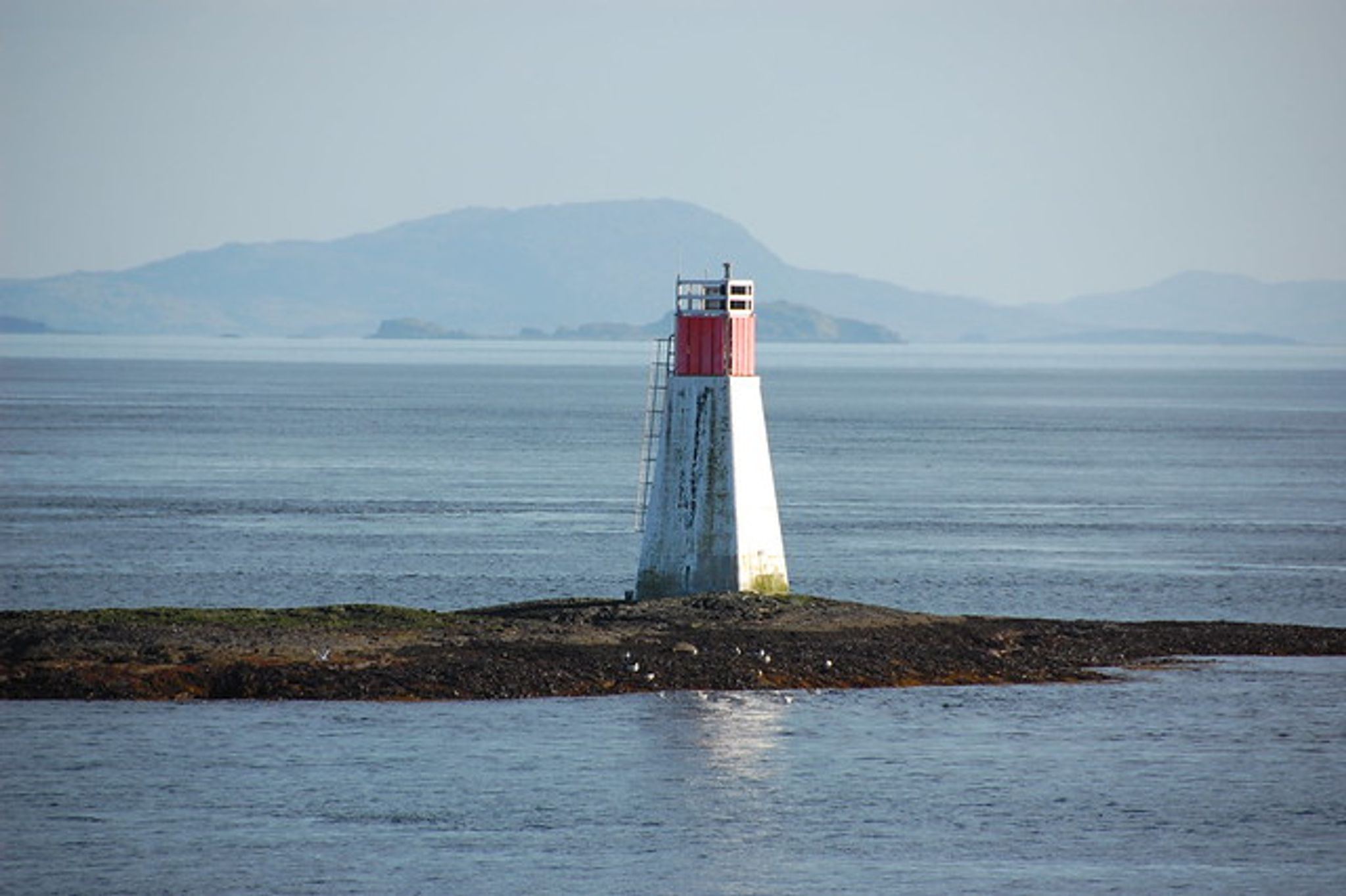 Cover photo for Alisa Angus's Obituary