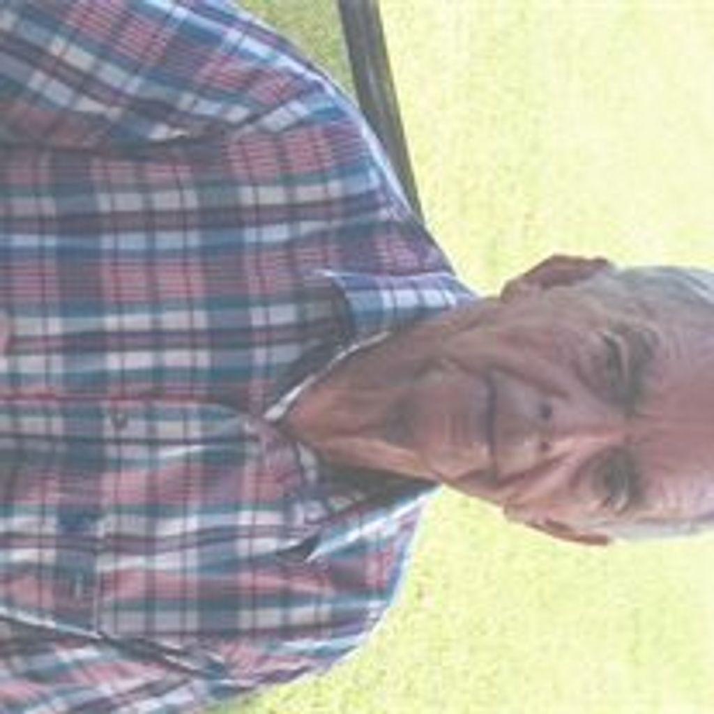 Robert N. Remsen
