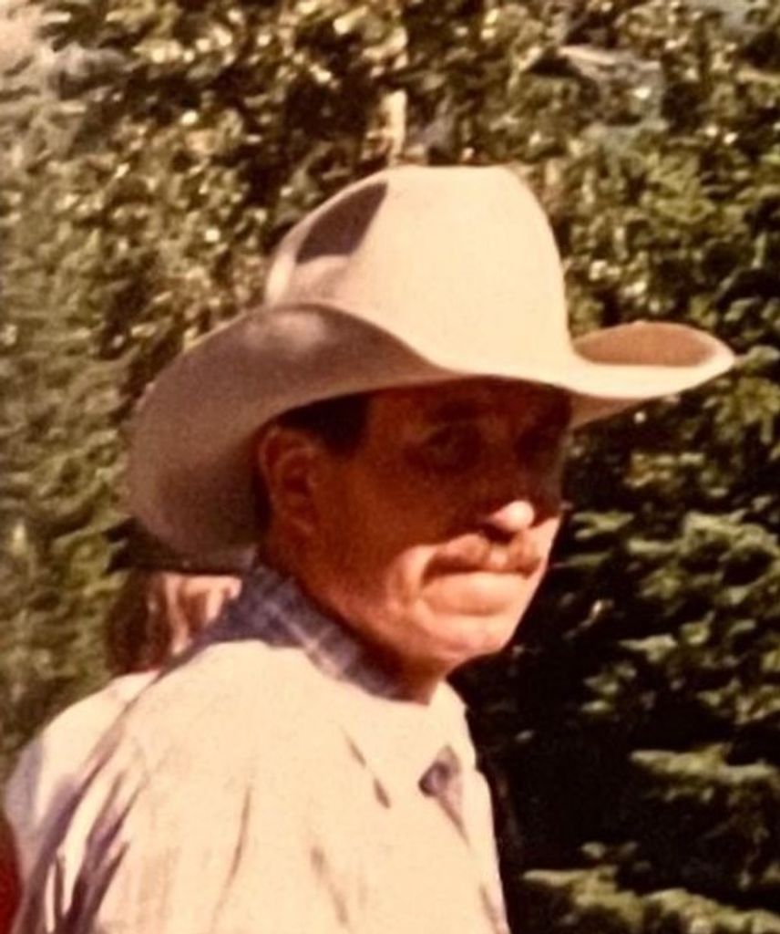Jack Norris