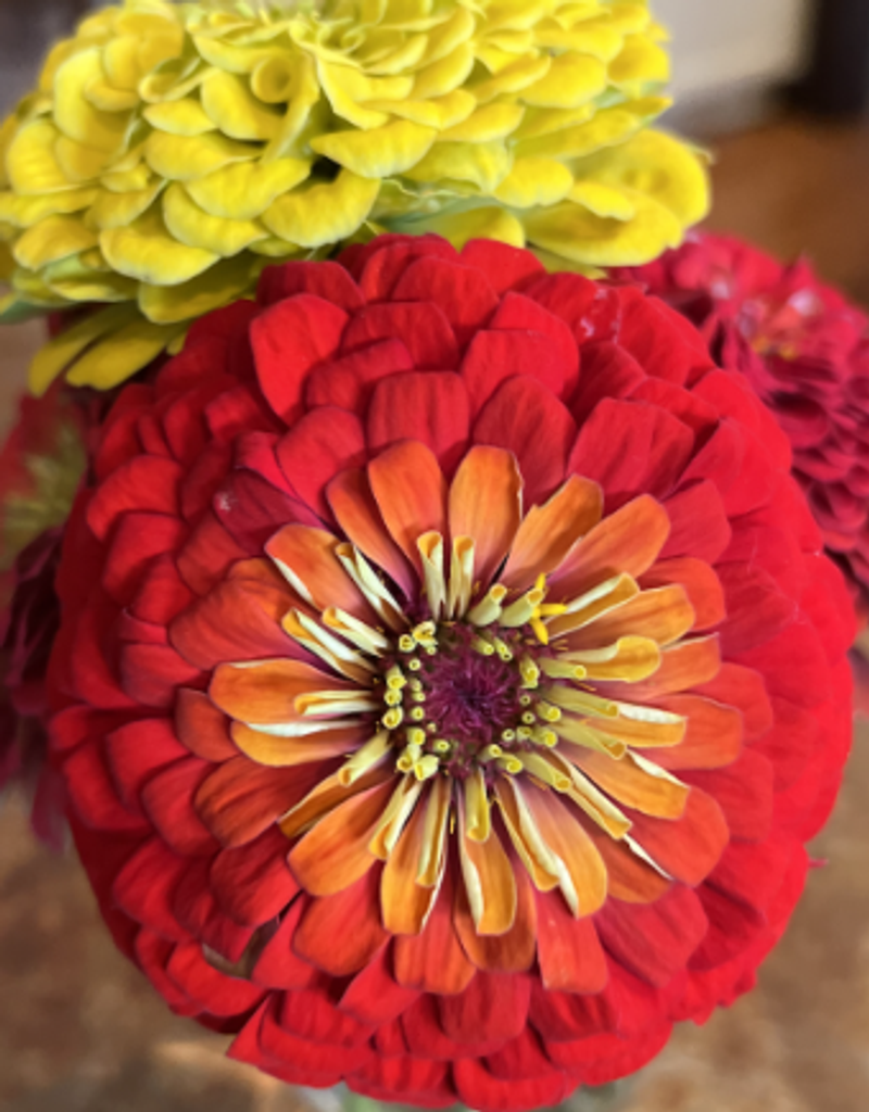 Margaret "Marge" Miller Profile Photo