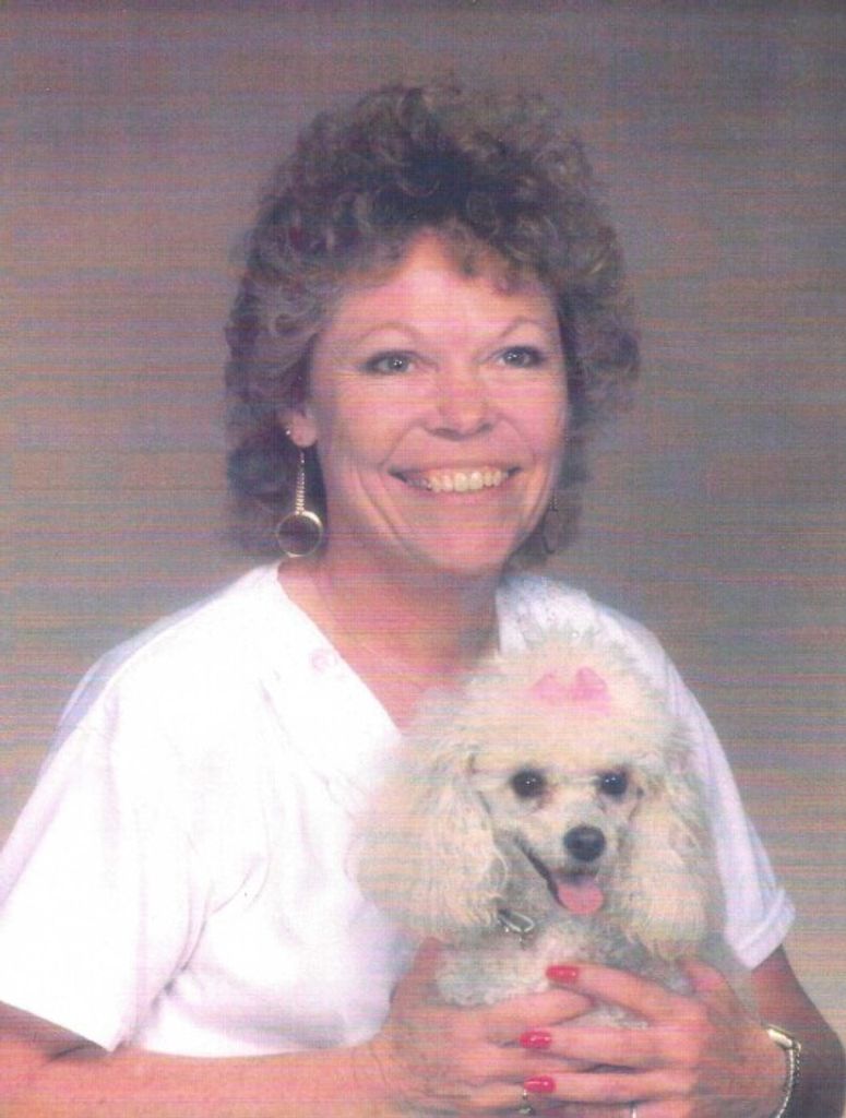 Maribelle D. (Wadsworth)  Webster Profile Photo