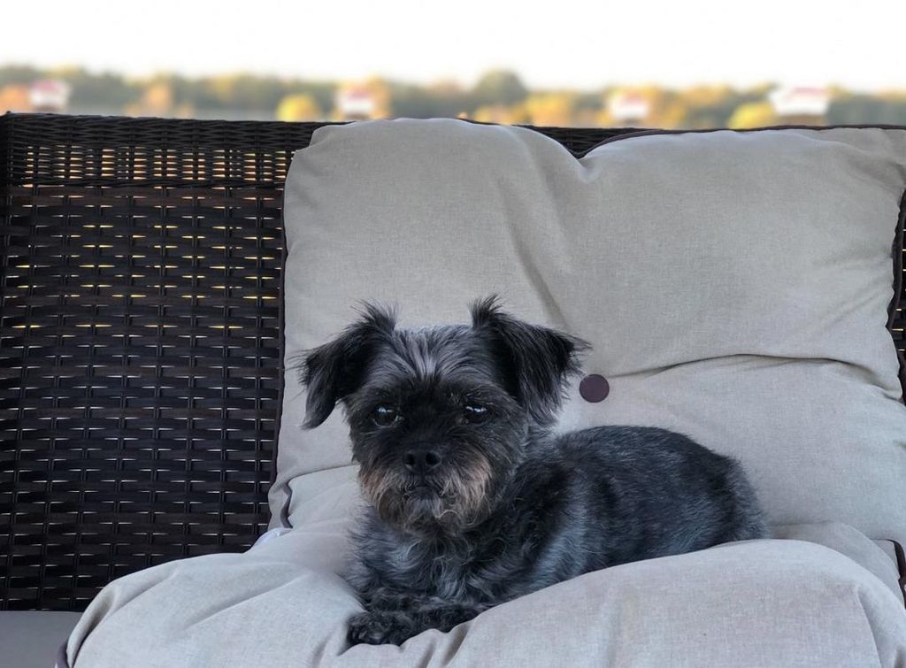 Bella Hankins Profile Photo