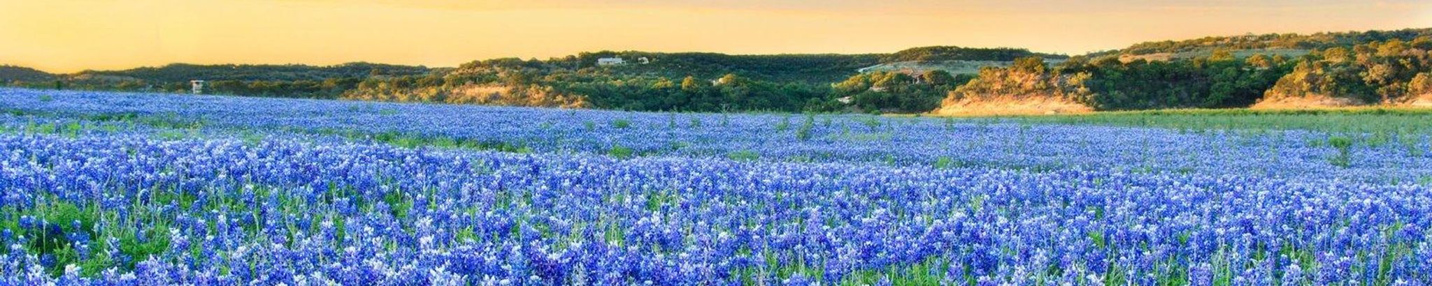 Cover photo for Carolyn Burge Mills's Obituary