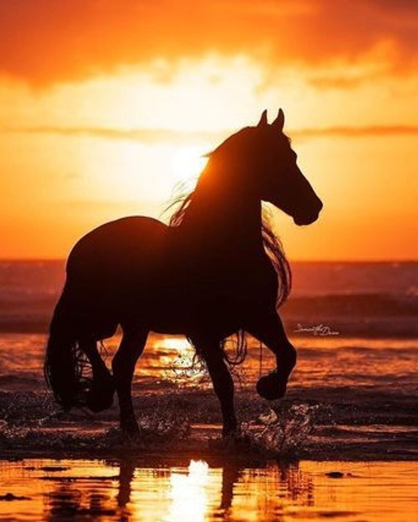 Janice Marie Roberts