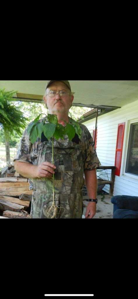 David Ray Quakenbush Profile Photo
