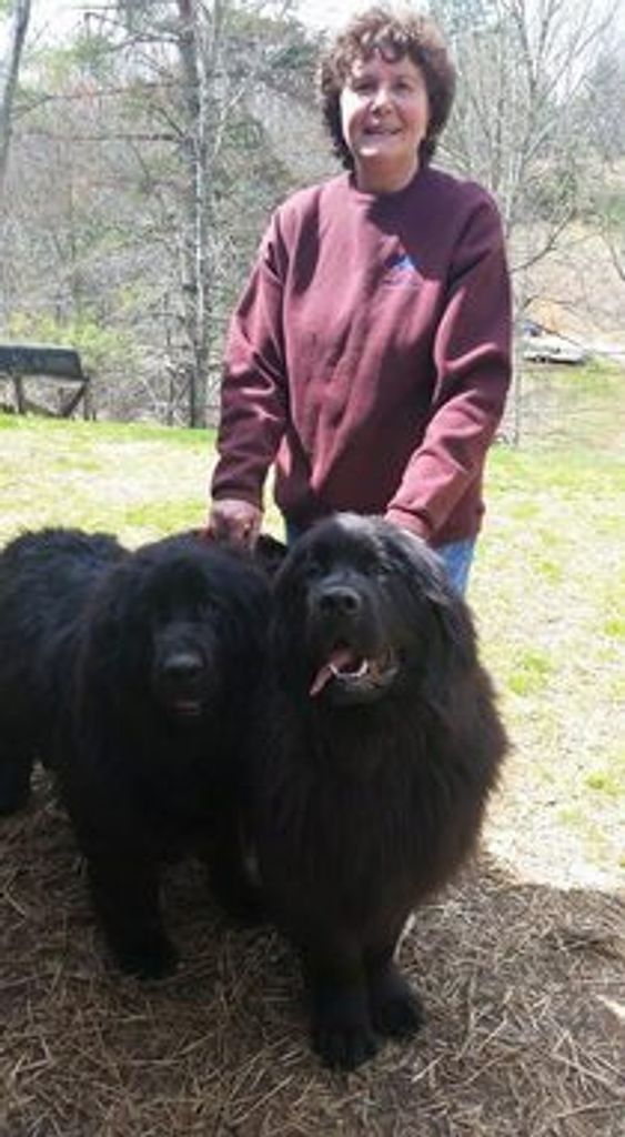 Debora Lynn (Hughes)  Barnett Profile Photo