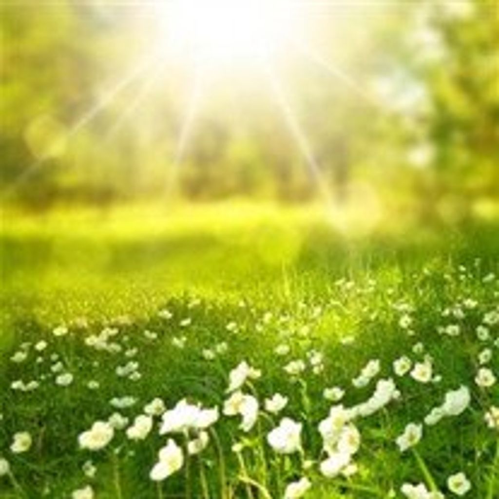 Rhonda  Beth Hoffman