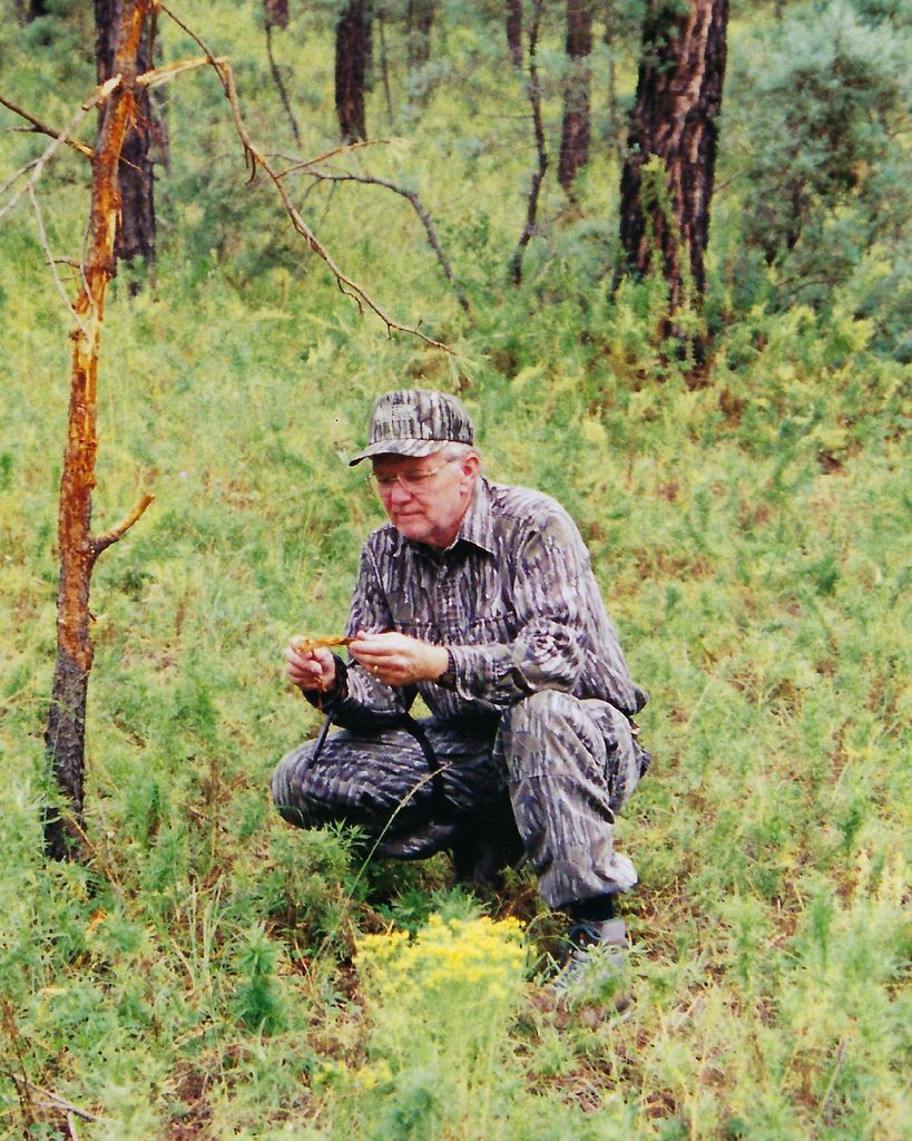 William (Bill) Arthur Land Jr.