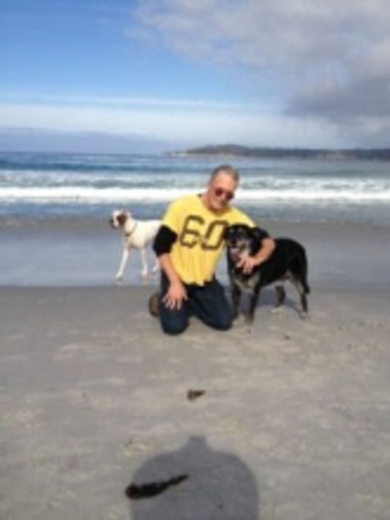 Thomas Davidson Bridges