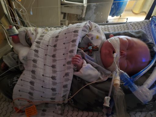 Wyatt Dean Kinsey photo gallery thumbnail 54 of 152