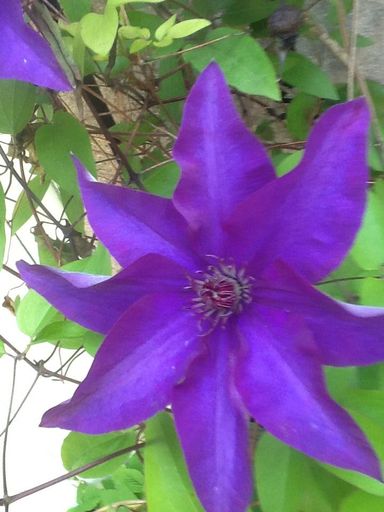 Sandra L. Stowers photo gallery thumbnail 77 of 100