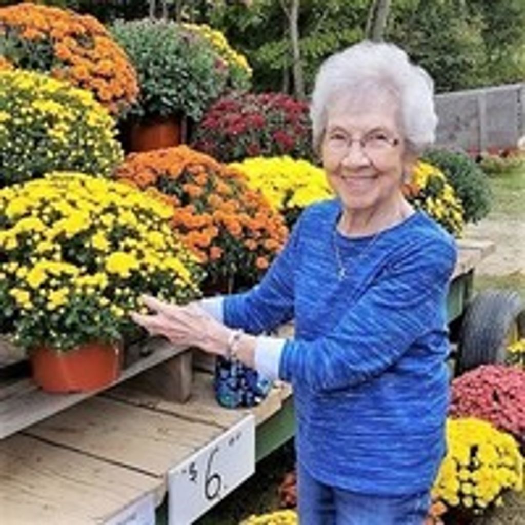 Dorothy  Mae Saltsman