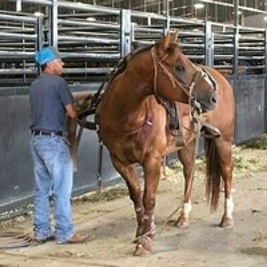 Angel Garza (Tulia)