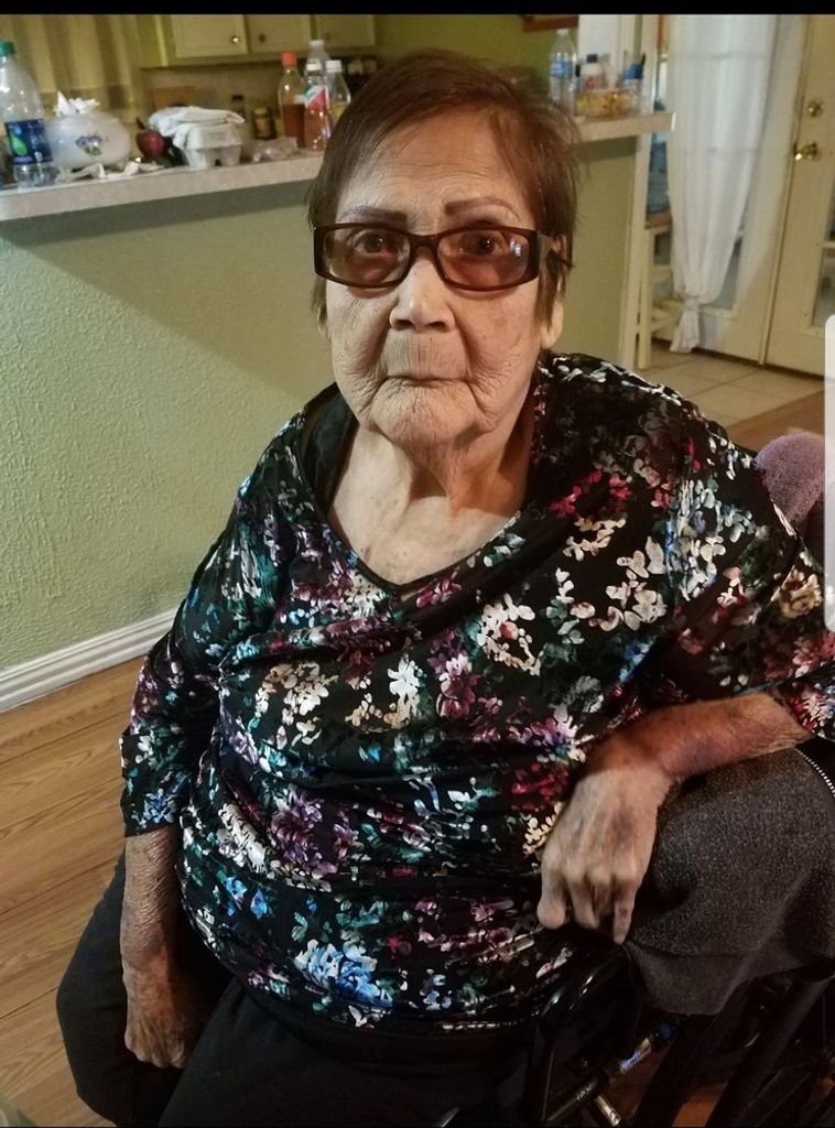 Elida S. Neri
