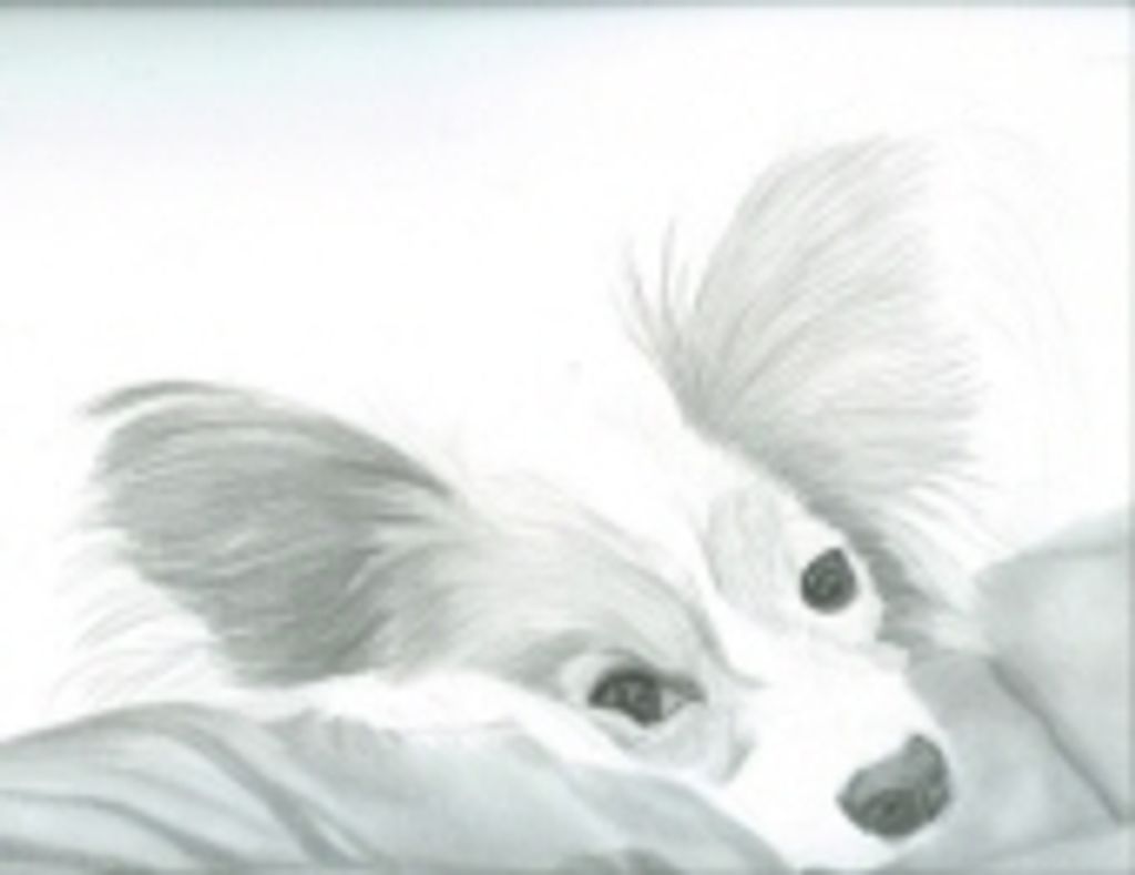 Oliver Nelson Profile Photo