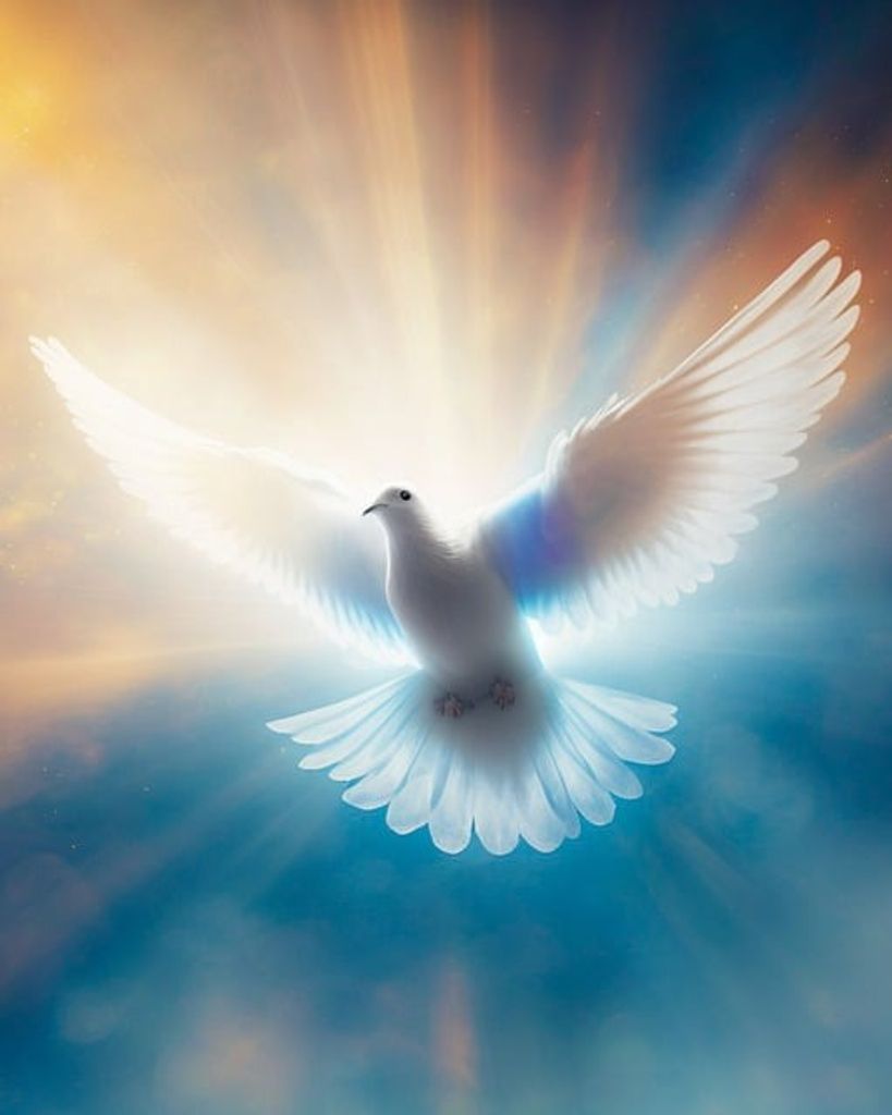 Theresa Suttie MacKechnie Profile Photo