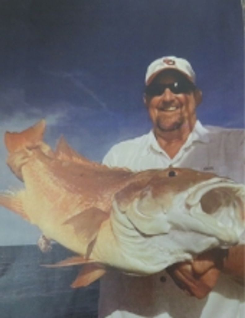 David L Schiver