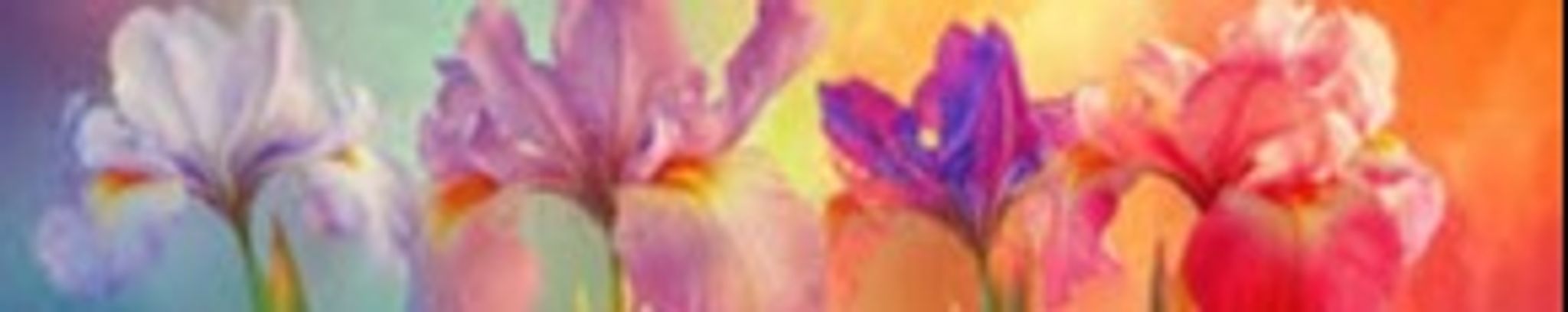 Cover for Mary Lee Schroeder's Obituary