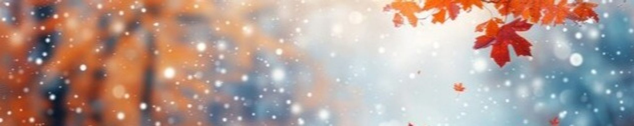 Cover for Pamela Heintz's Obituary