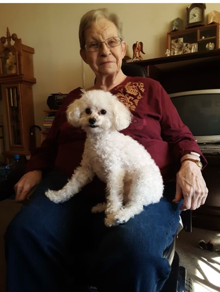 Judy (Handy) Stewart Profile Photo