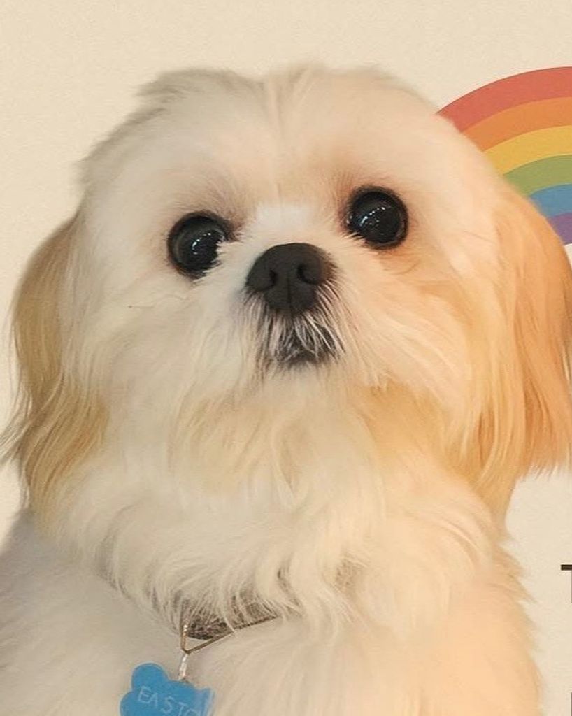 Easton 🖤 Profile Photo