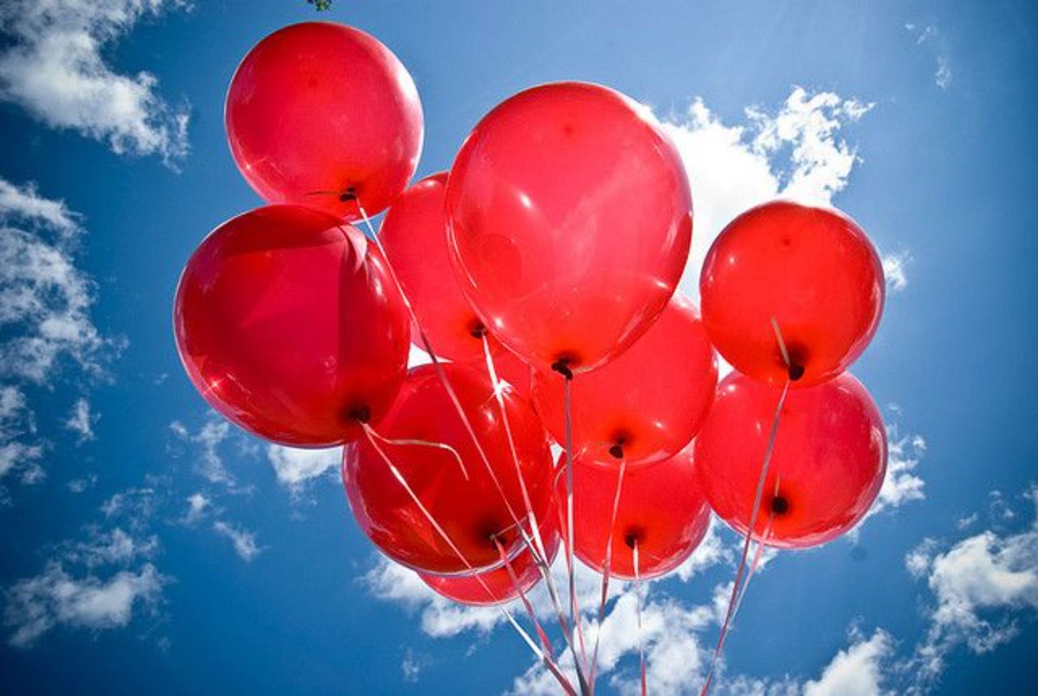 Cover photo for Amy  Jo Woodruff's Obituary