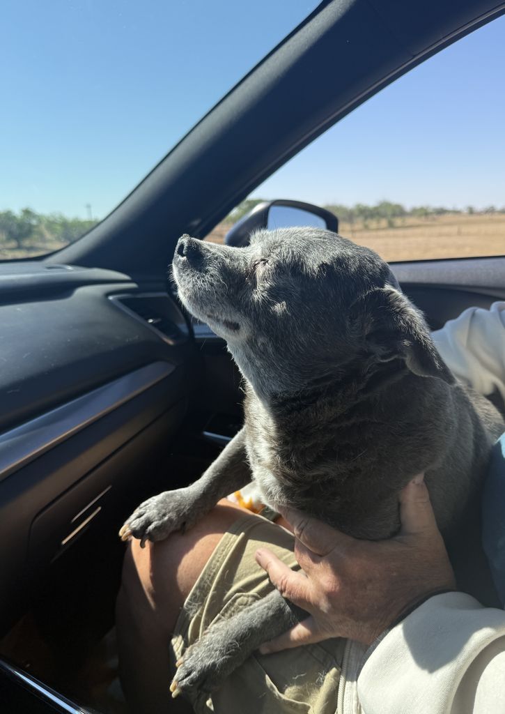 Wally Brooks Profile Photo