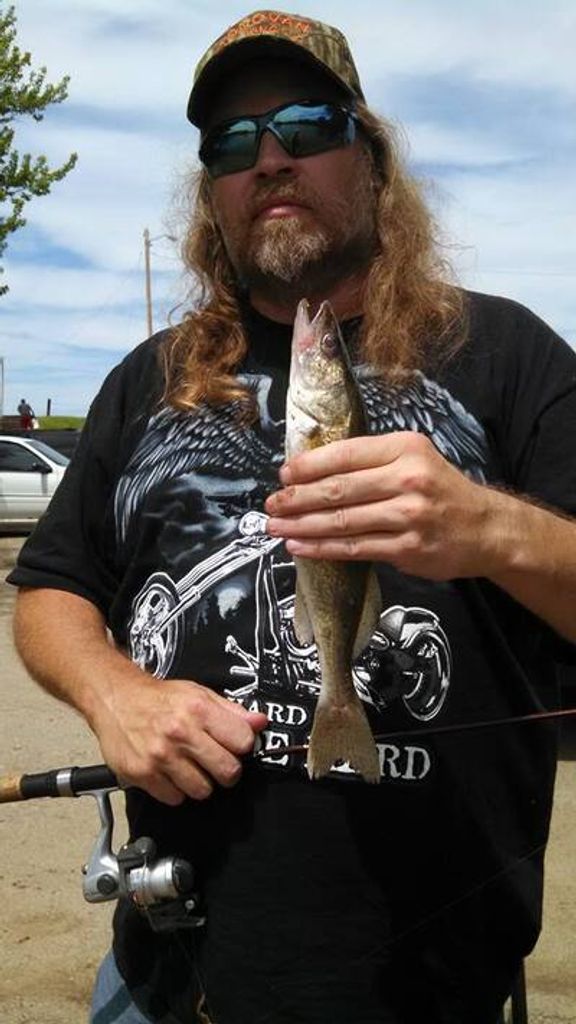 Matthew C. Brandt Profile Photo