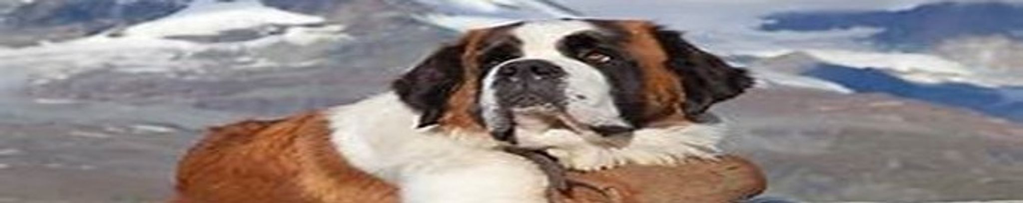 Cover photo for Christina Louise Ankrom's Obituary
