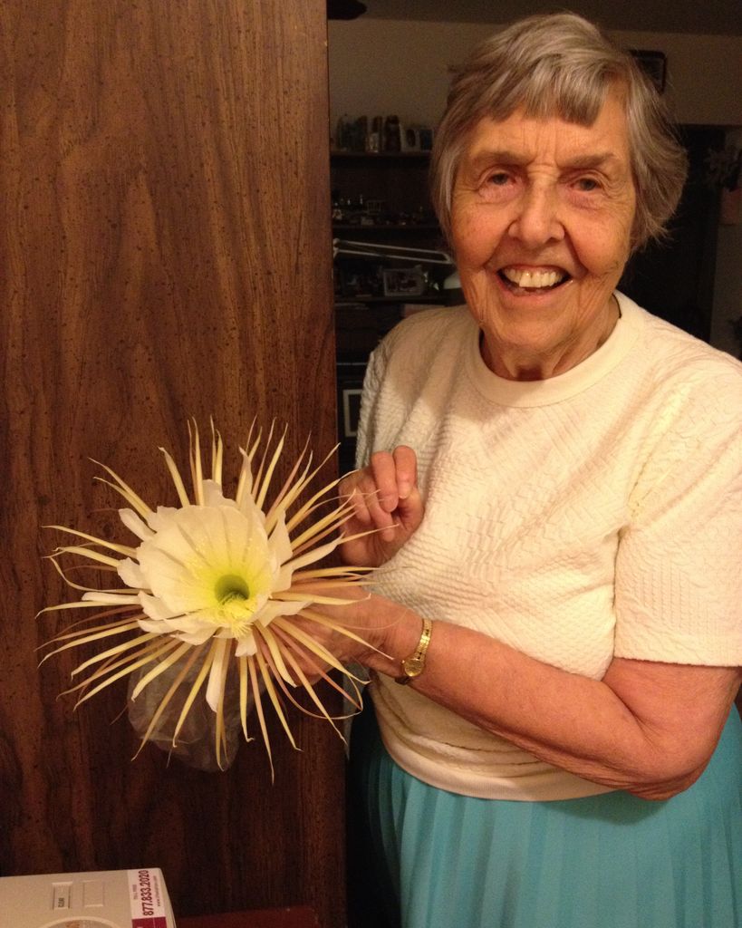 Jeanne A. McCulley