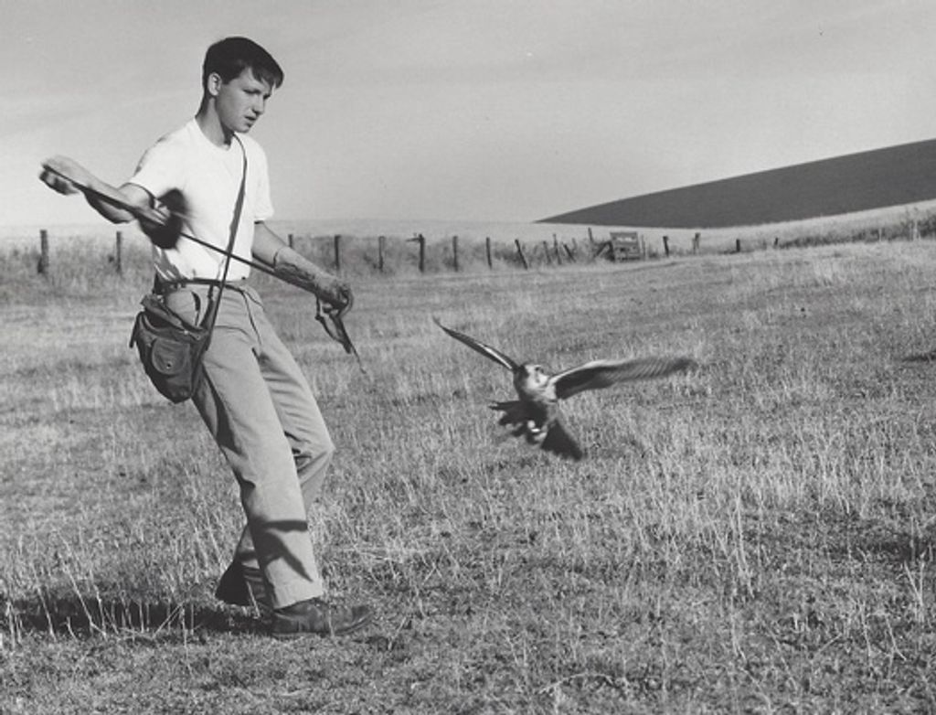 Laverne "Les" Lester Boyd