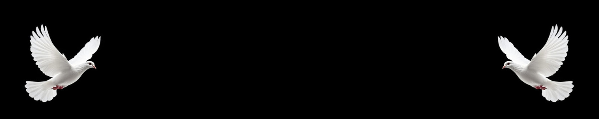 Cover for Vicente Soto IV's Obituary