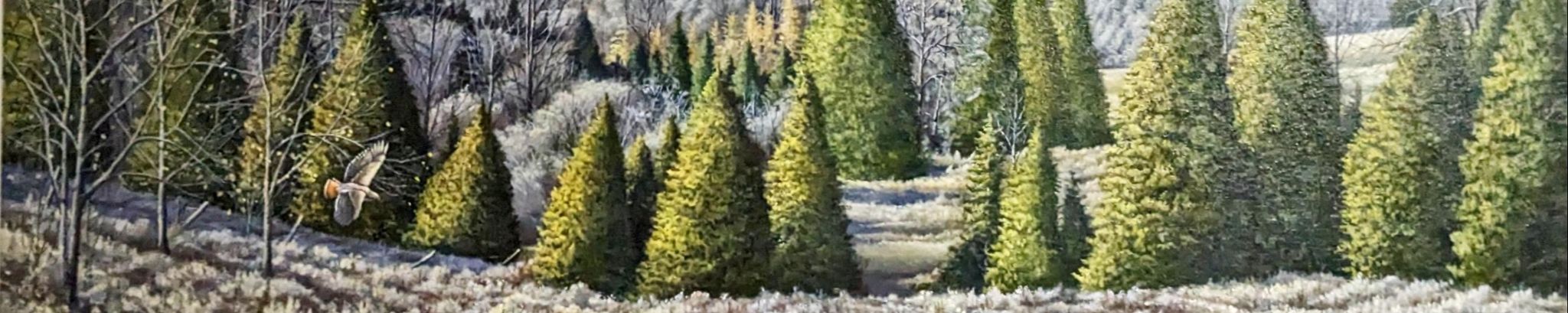 Cover for David Fewster's Obituary