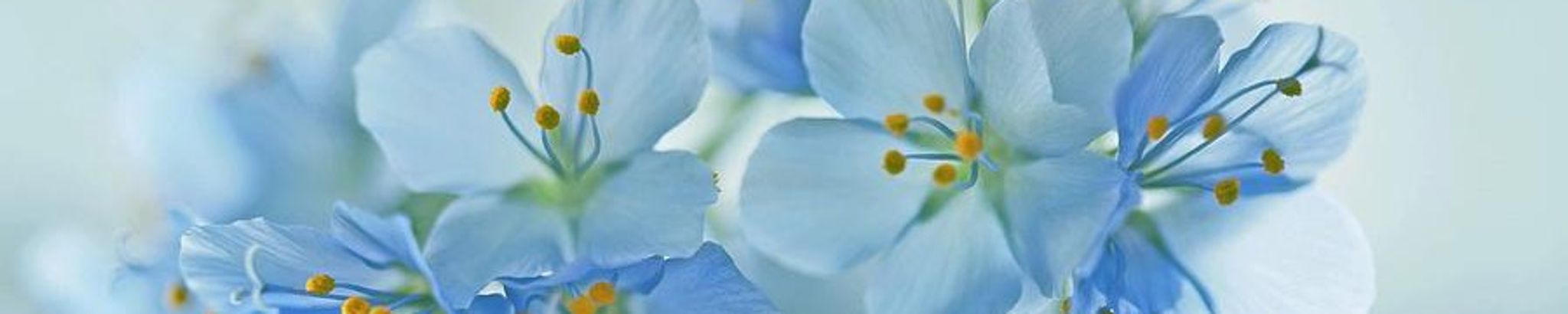 Cover photo for Jeanne M. Wolfe's Obituary