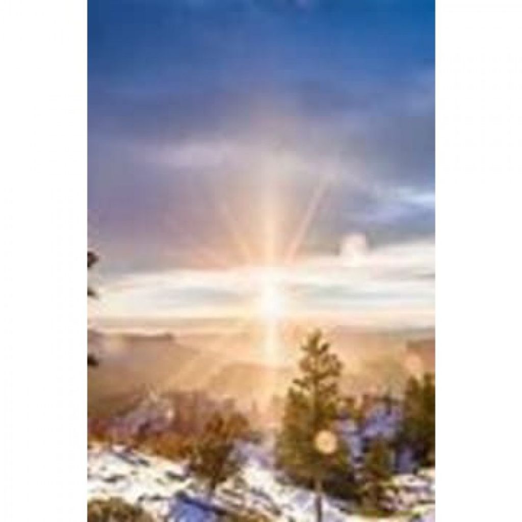 Angelica Valley Profile Photo