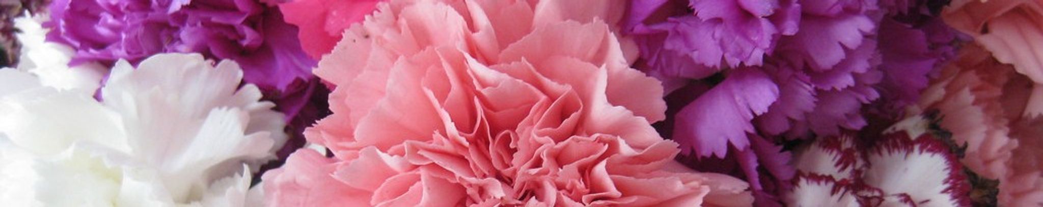 Cover photo for Aselia Maria D. Gamez's Obituary