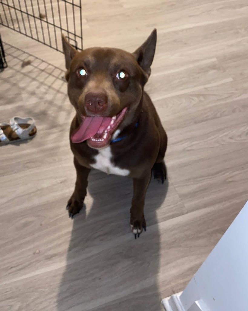 Melo Messiah Thomas Profile Photo