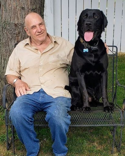 David H. Krohn's obituary image