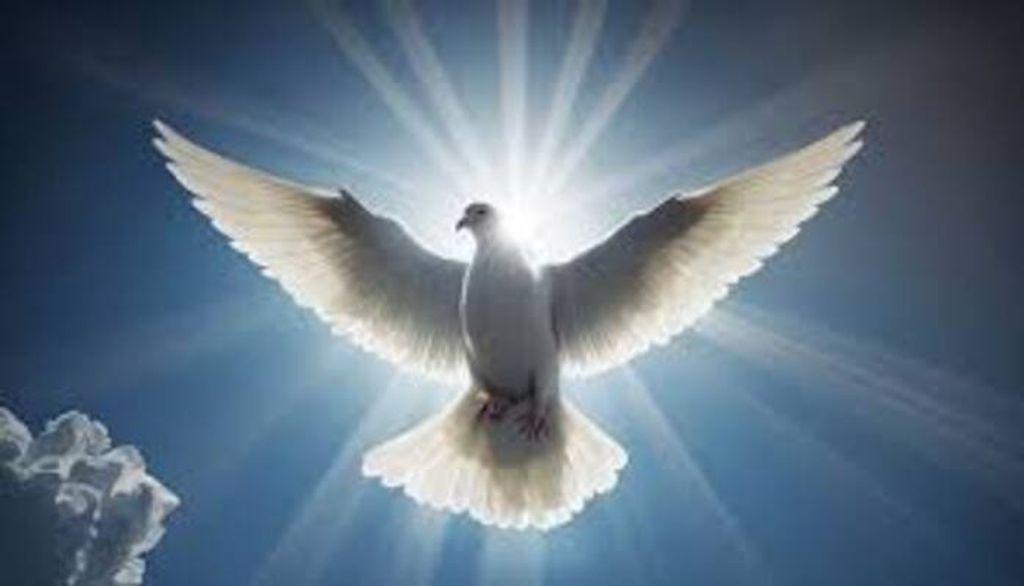 Stacy Monroe Davis Sr.