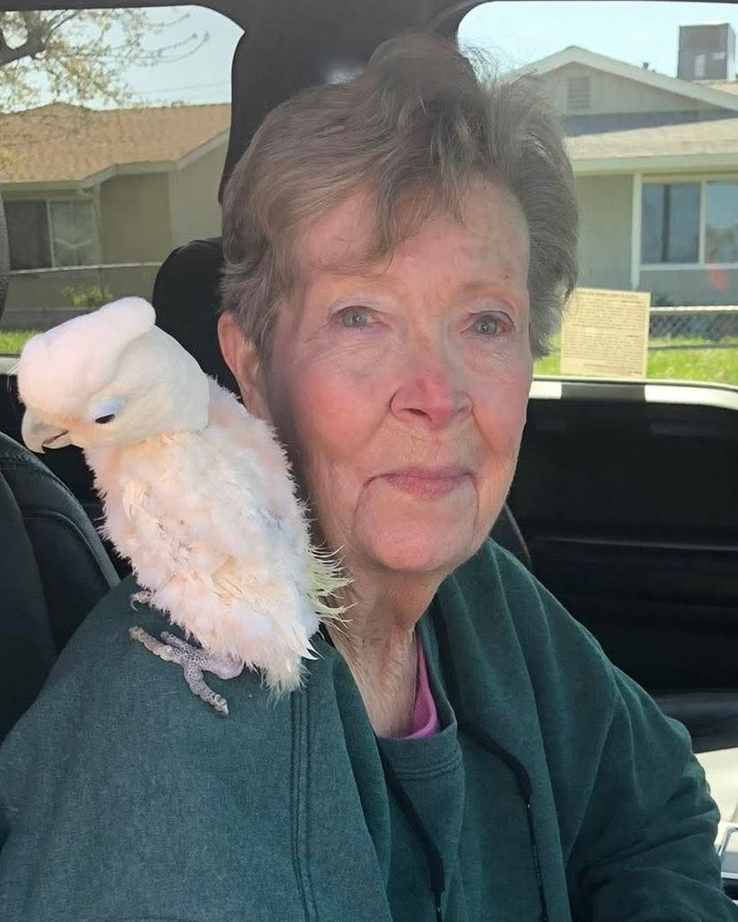 Nancy Ortiz Profile Photo