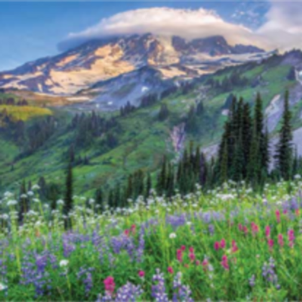 Kim Iselin Christiansen