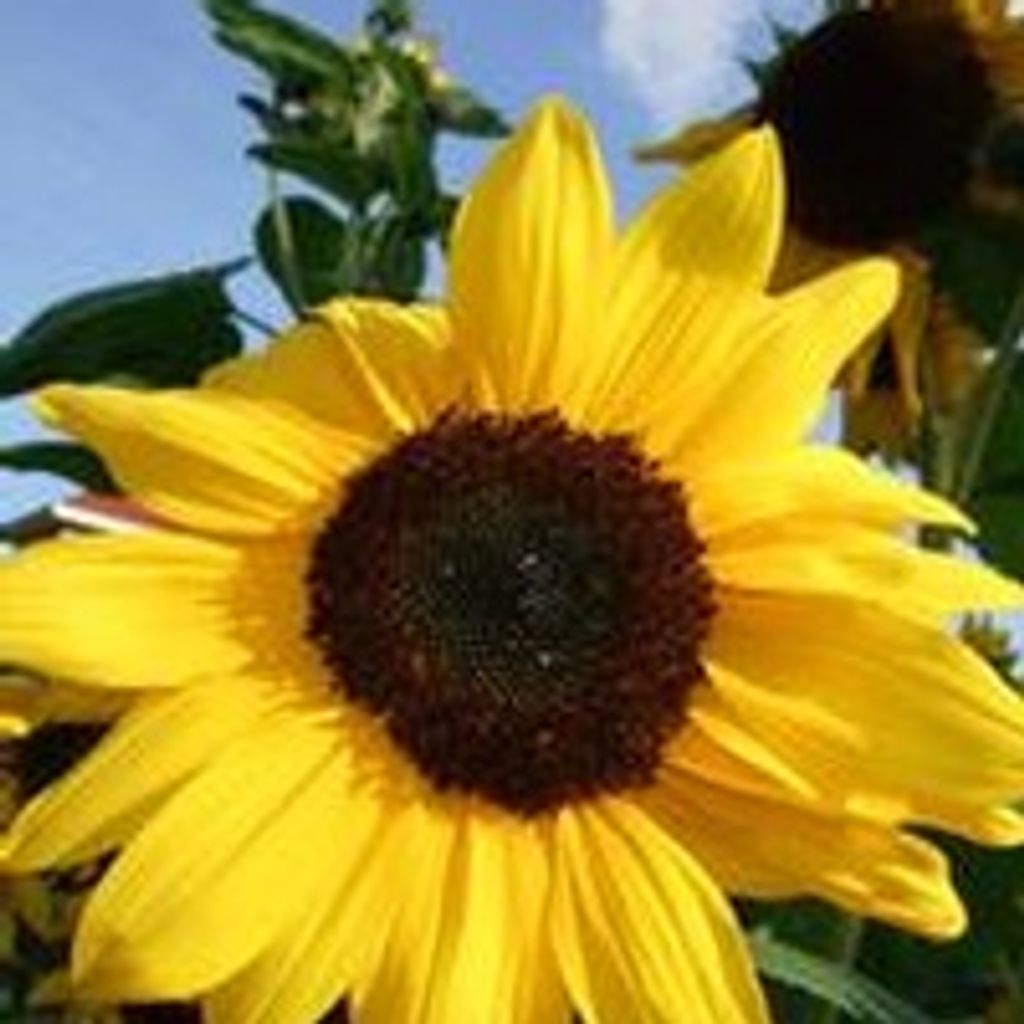 Ercell  Charles Johnson