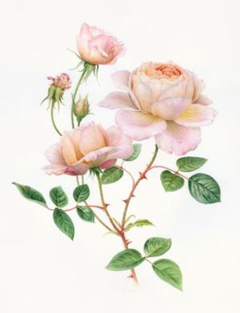 Naoma Christian-Binion